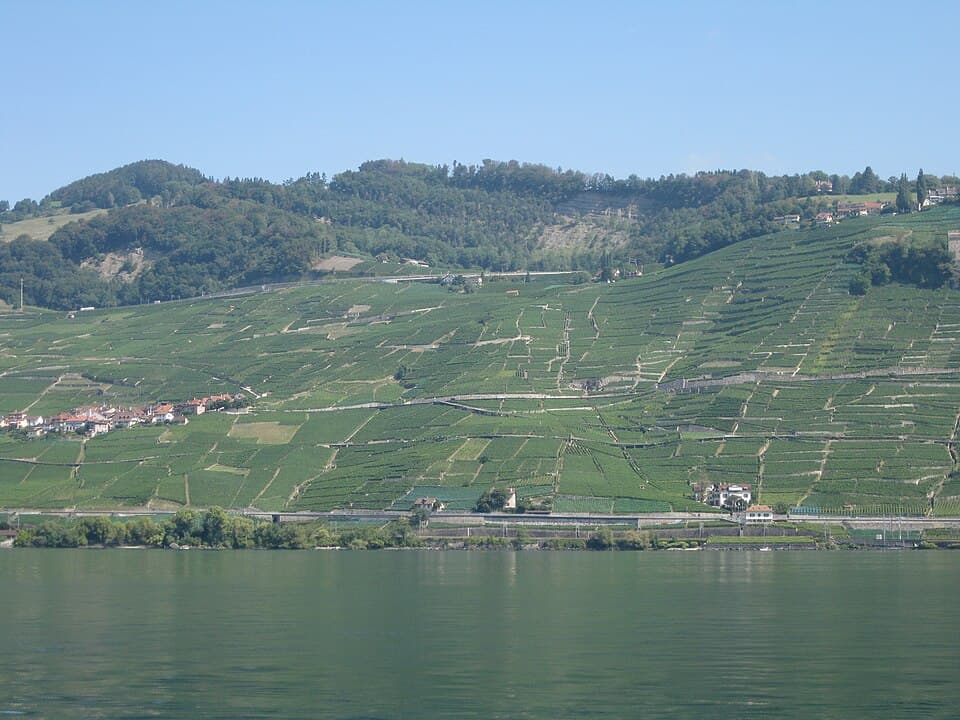 Paseo por los viñedos de Lavaux