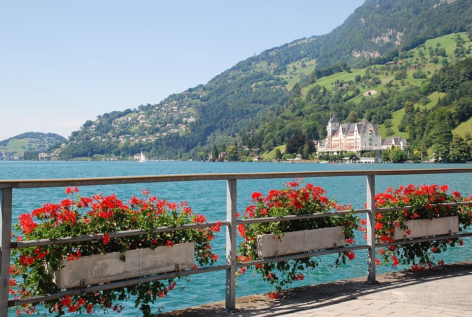 Vitznau Lakefront