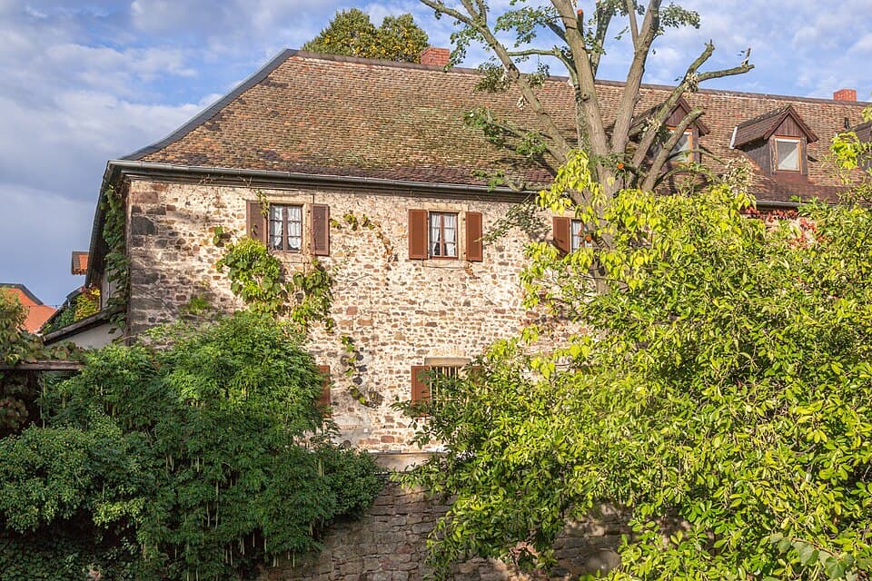 Wine Village & Cellar Flights