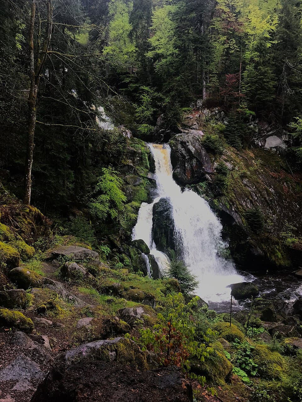 شلالات Triberg