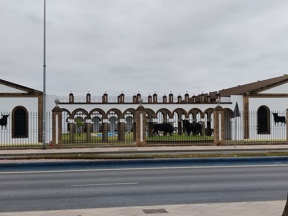 Bodega Osborne