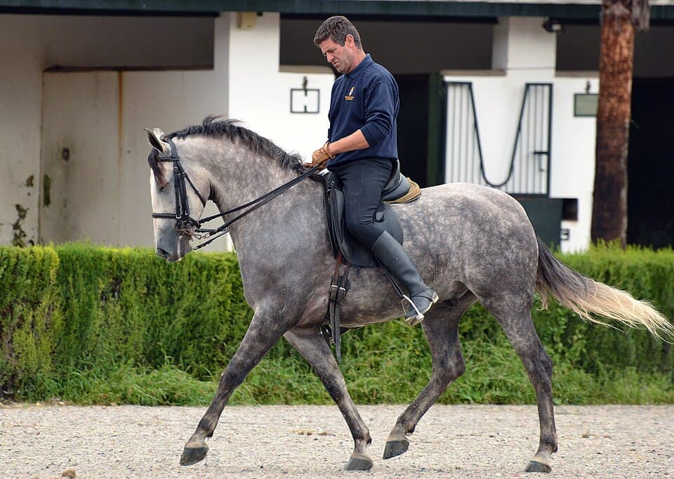 École royale andalouse d'équitation