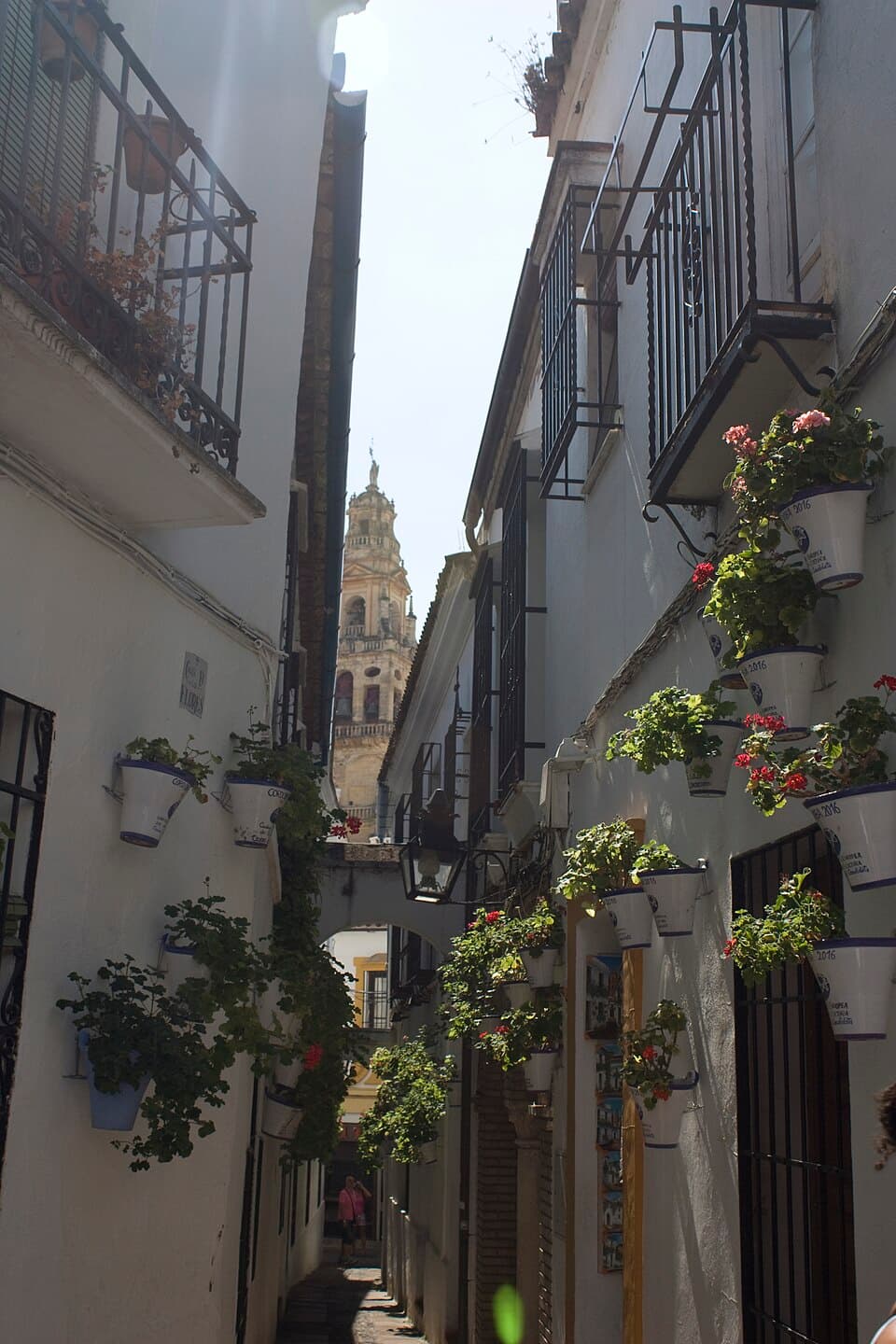 Judería & Calleja de las Flores