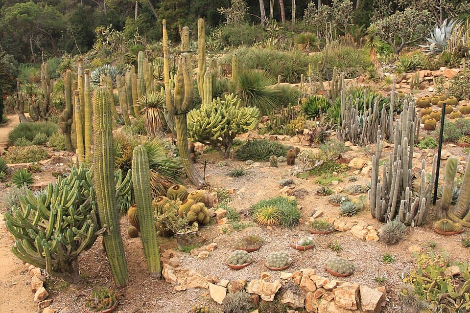 Jardin botanique Marimurtra