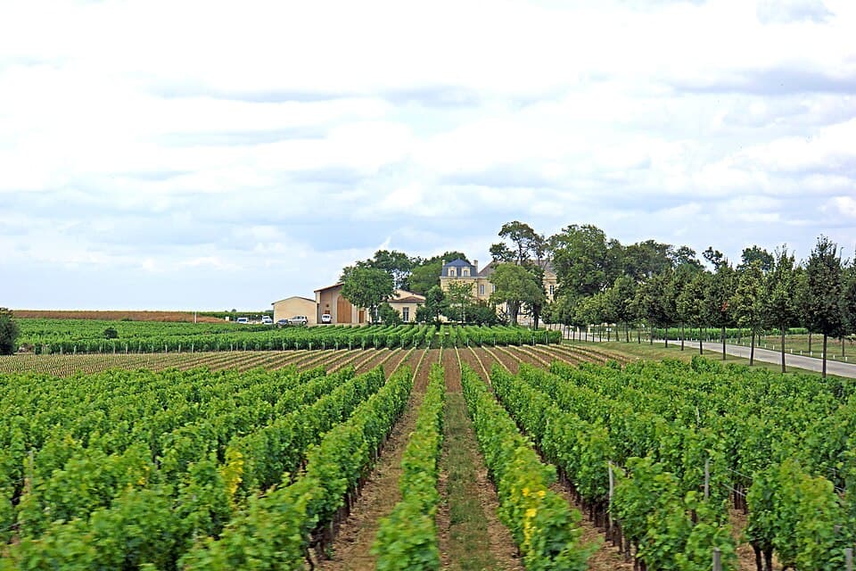 Tour du Roy