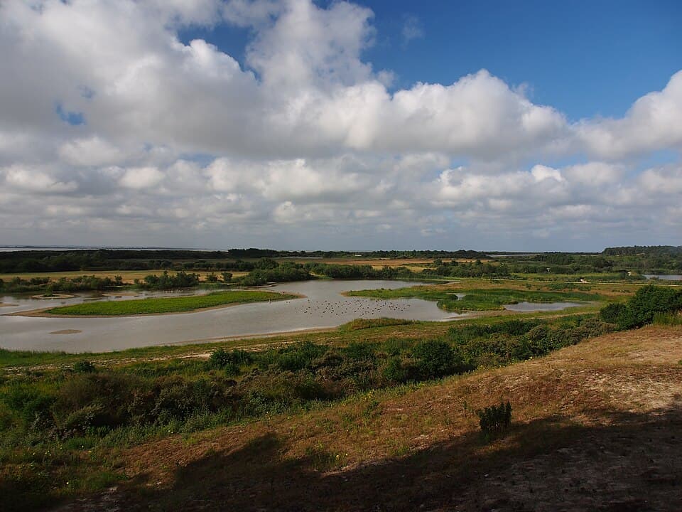 Parc du Marquenterre