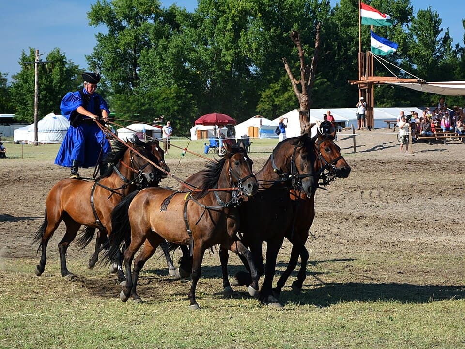 Puszta ঘোড়ার শো
