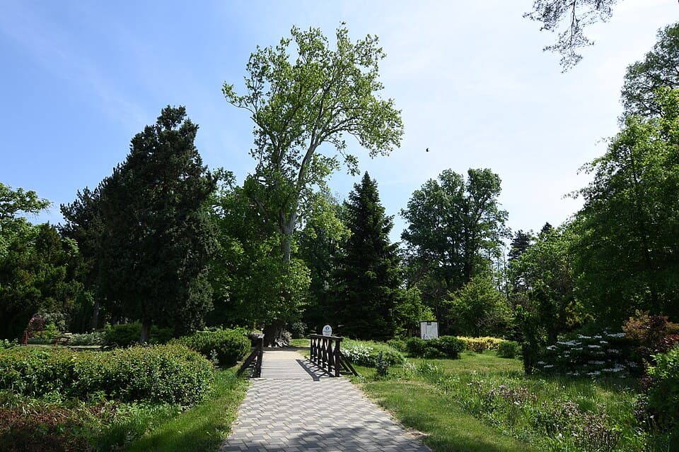 Arboretum Kámon