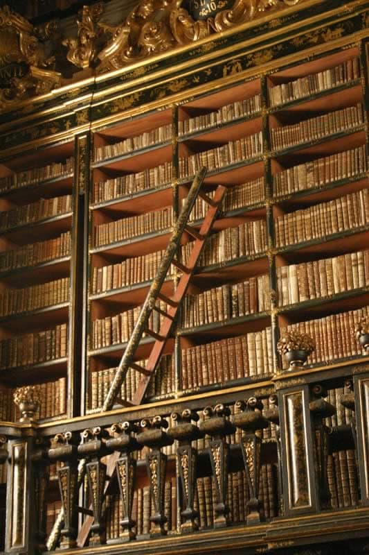 Biblioteca Joanina