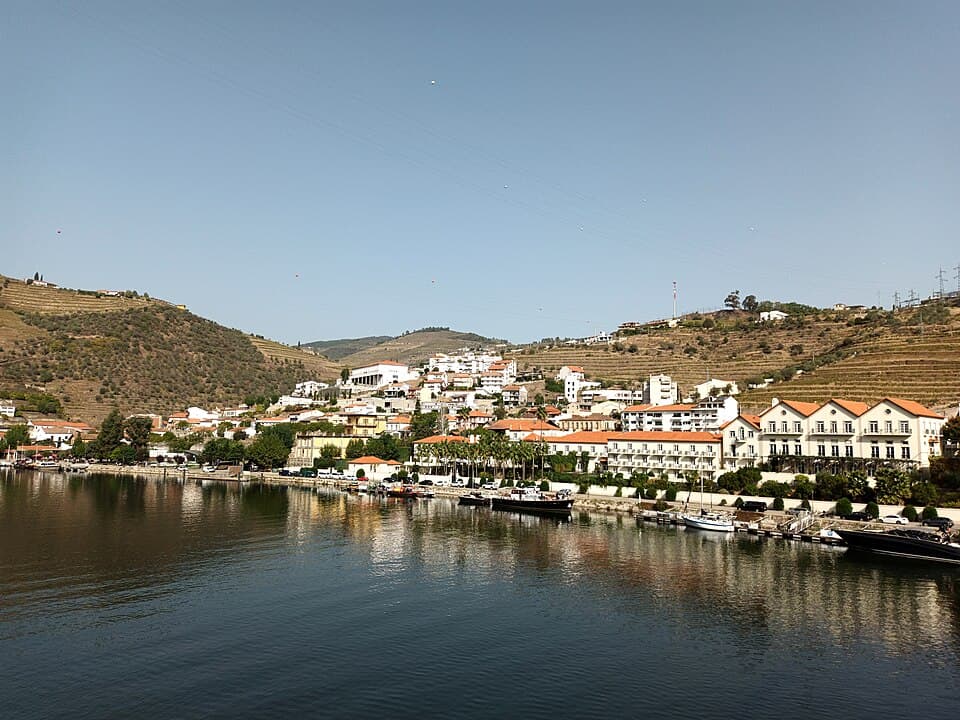 Pinhão
