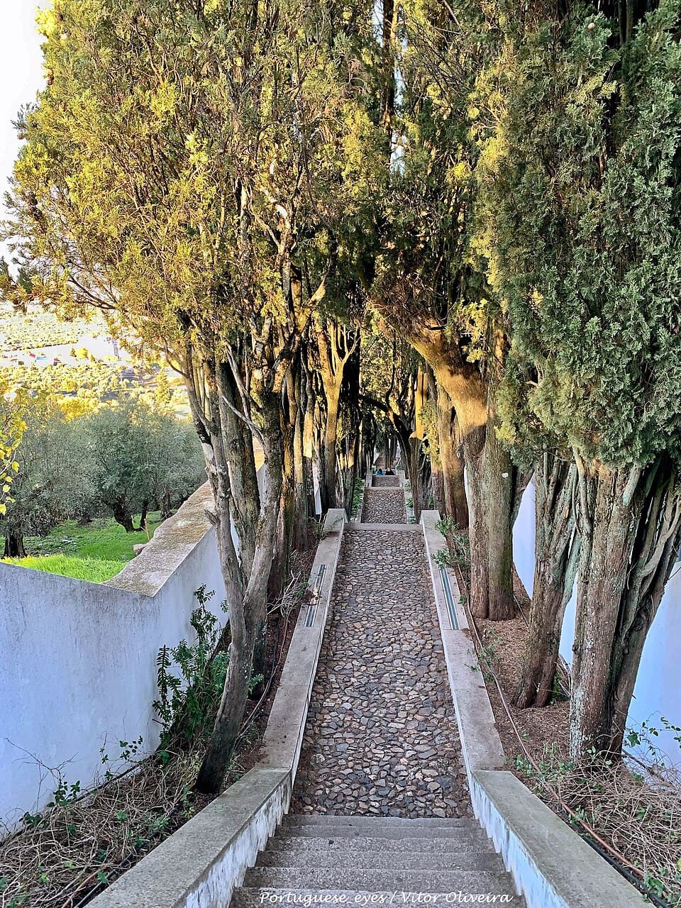 Mirador del Castillo Templario