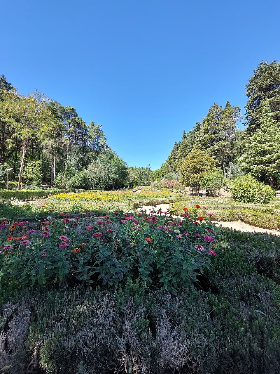 Waldpark Sete Montes