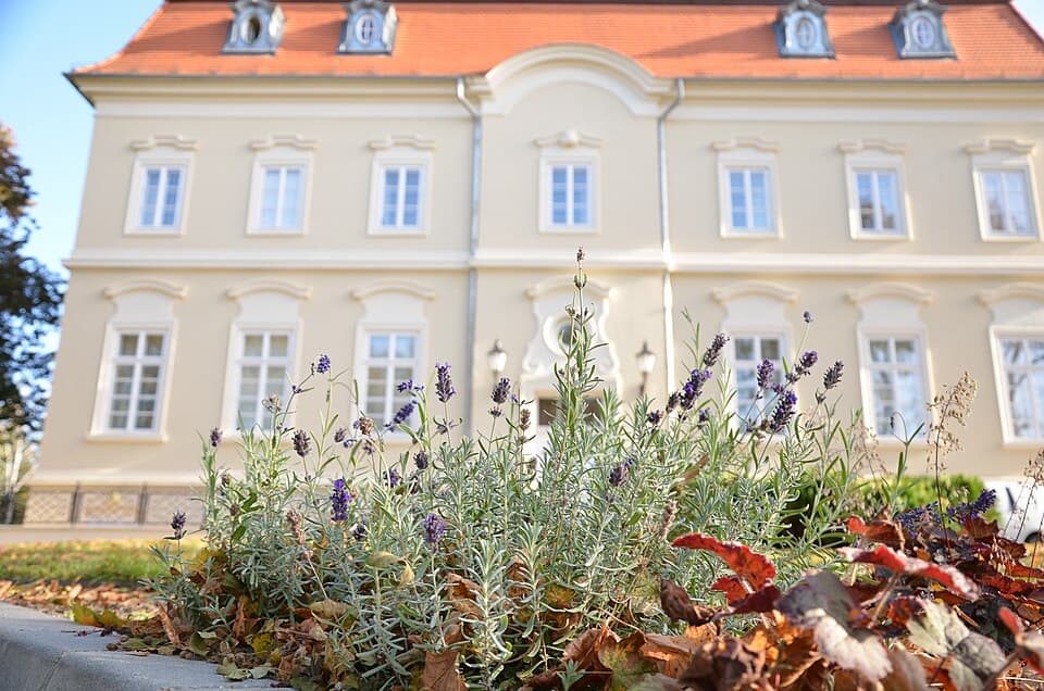 Szilvásvárad