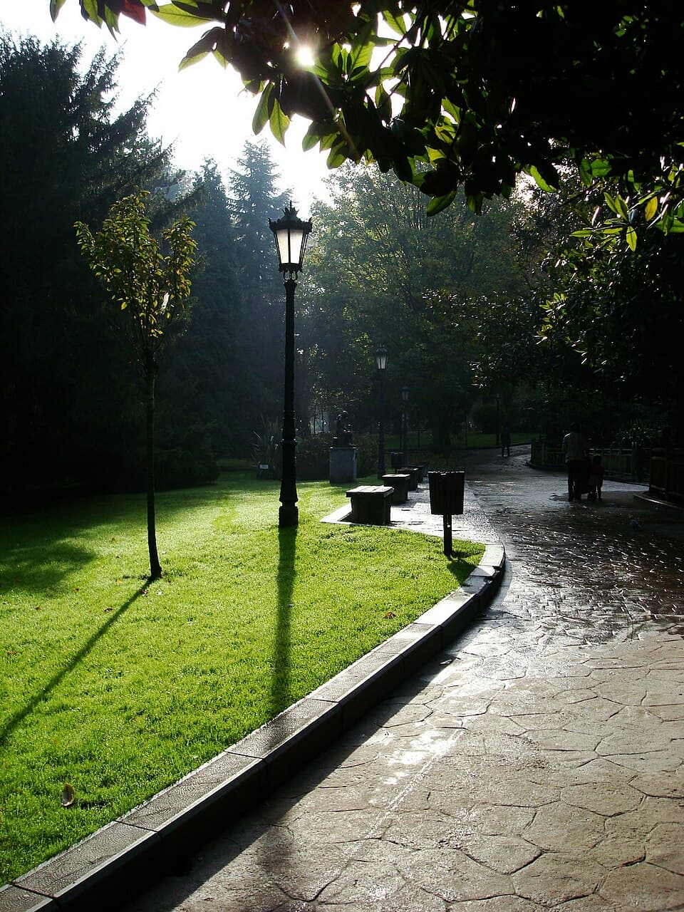 Campo de San Francisco