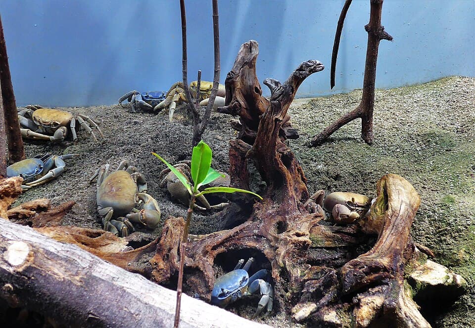 Aquarium La Rochelle