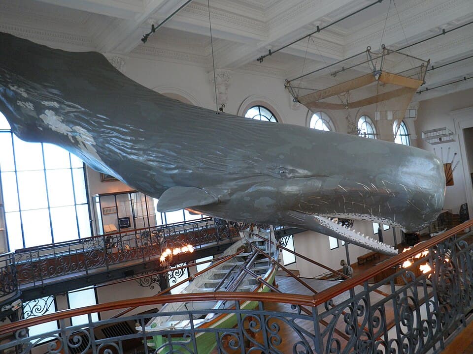 Ozeanographisches Museum