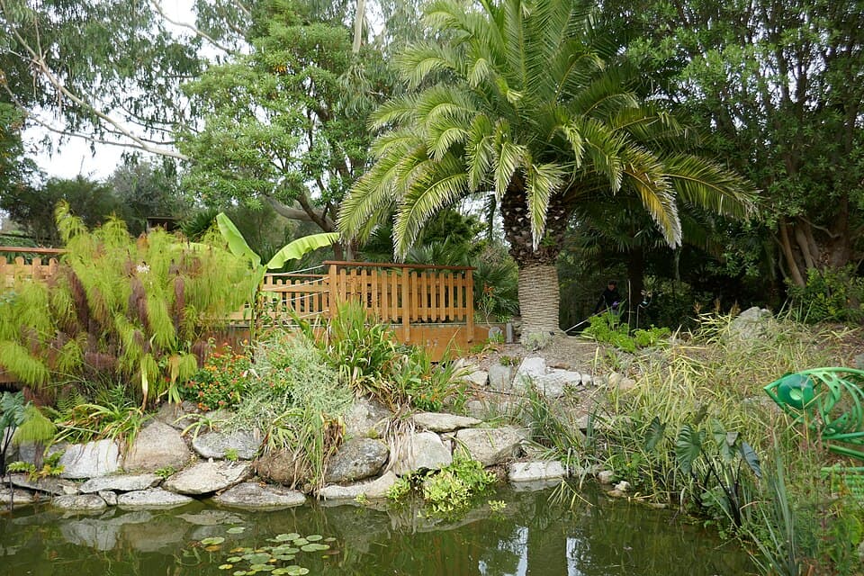 Jardin Exotique