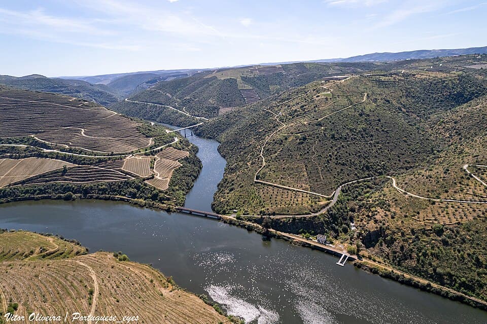 Vale do Côa দ্রাক্ষাক্ষেত্র