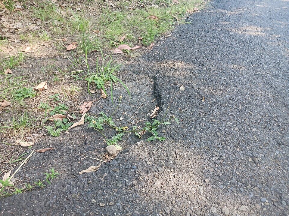 Ershui সাইকেল ট্রেইল