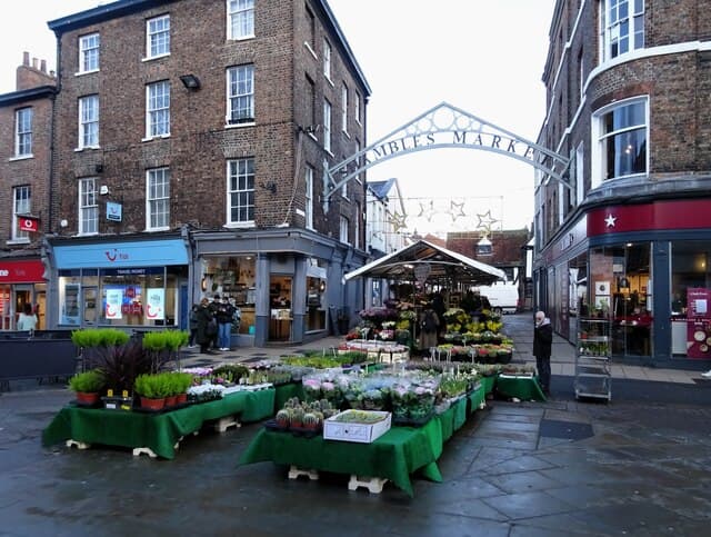 The Shambles