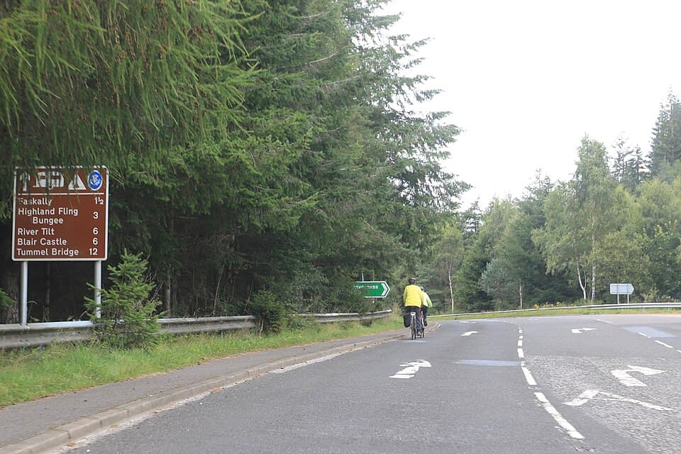 Faskally Forest
